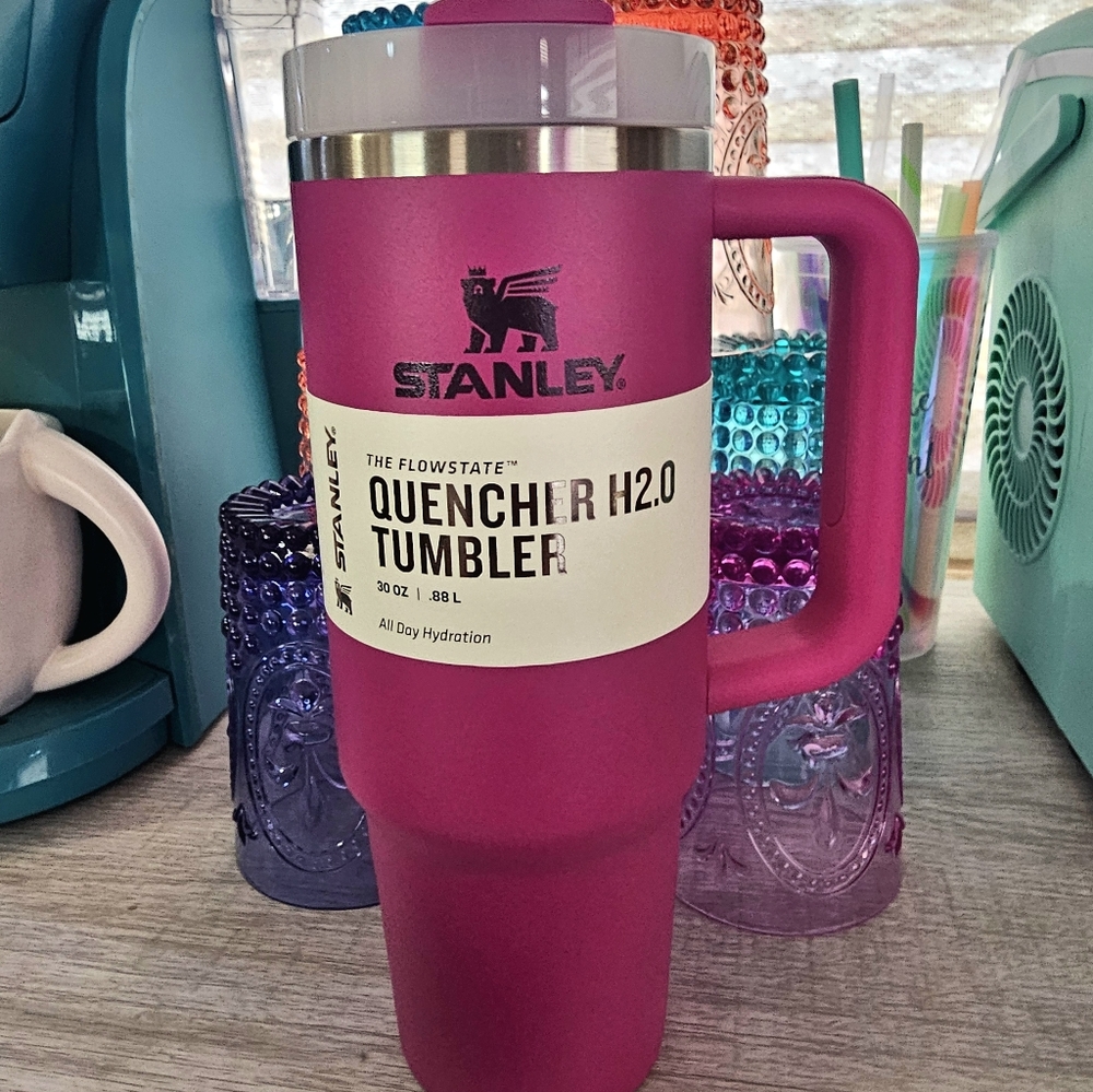 Stanley Quencher NWT H2.0 Tumbler 30oz Fuchsia 💗